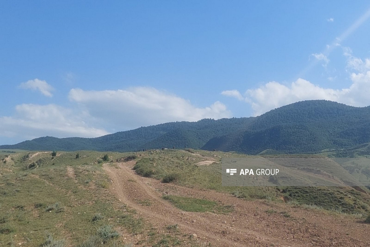 Goranboyda minaya düşən şəxsin vəziyyəti açıqlanıb     - FOTO  - YENİLƏNİB-3 