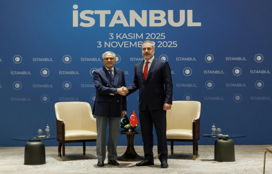 Məhəmməd İshaq Dar , Hakan Fidan