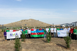 “AzInTelecom” Ağdamda ağacəkmə aksiyası keçirib - FOTO  - VİDEO 