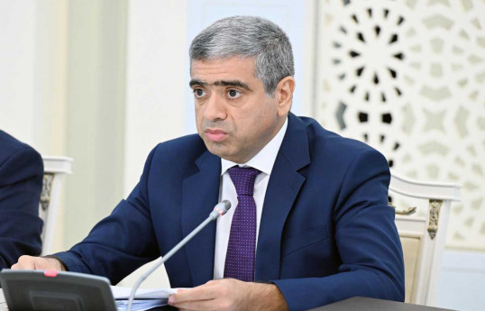 Anar Əliyev, əmək və əhalinin sosial müdafiəsi naziri