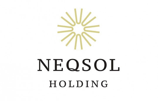 “NEQSOL Holding”