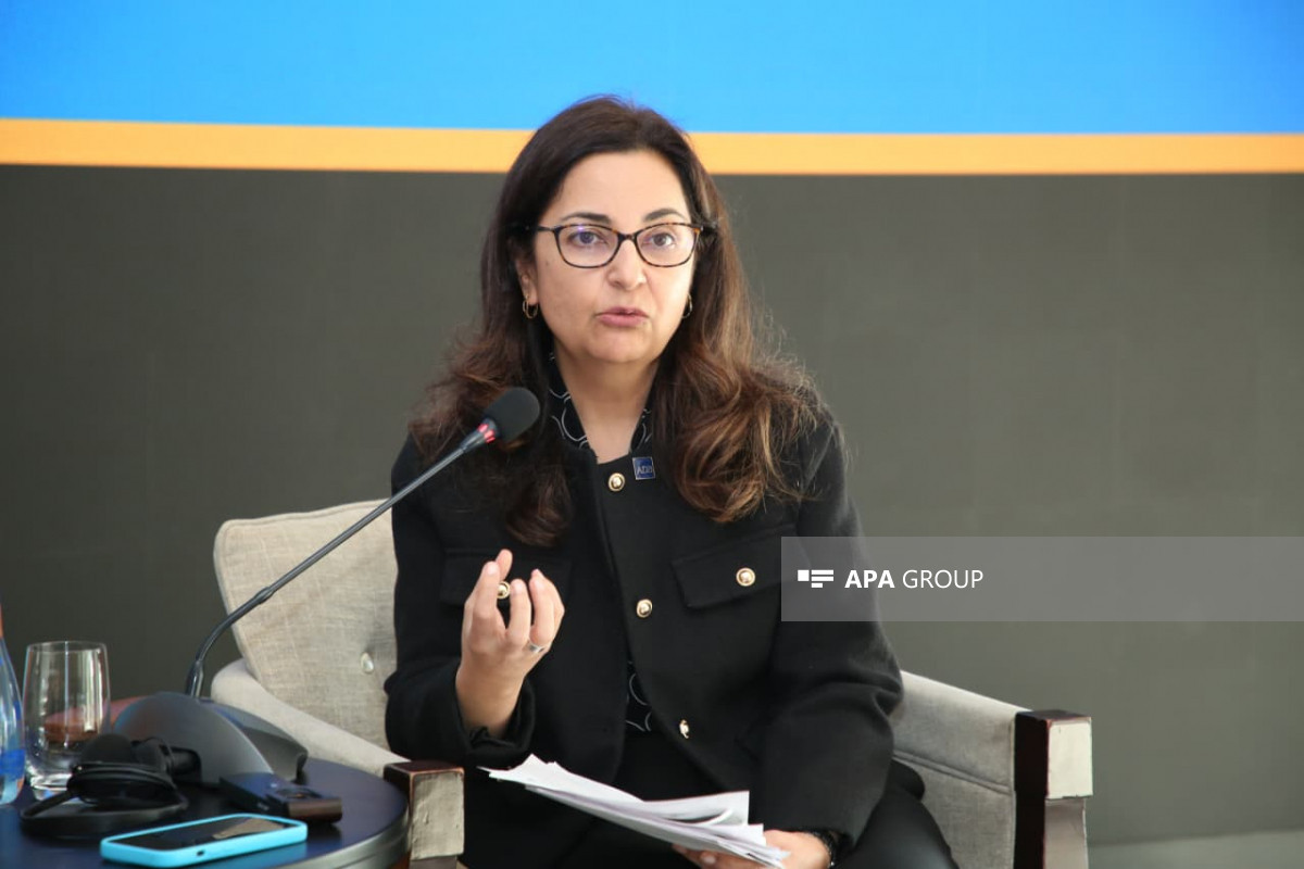 Sunniya Durrani-Camal: Azərbaycan maliyyə sektorunda dayanıqlı inkişaf siyasəti həyata keçirir