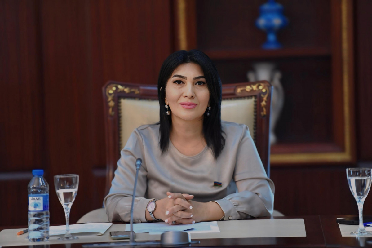 Elnarə Akimova, Milli Məclisin deputatı