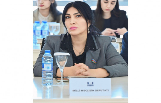 Milli Məclisin deputatı Elnarə Akimova