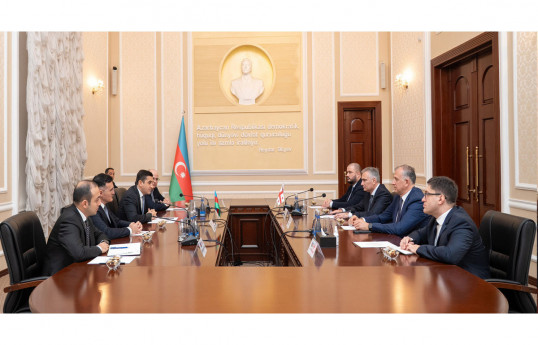 Gürcüstanın ədliyyə naziri Azərbaycana gəlib