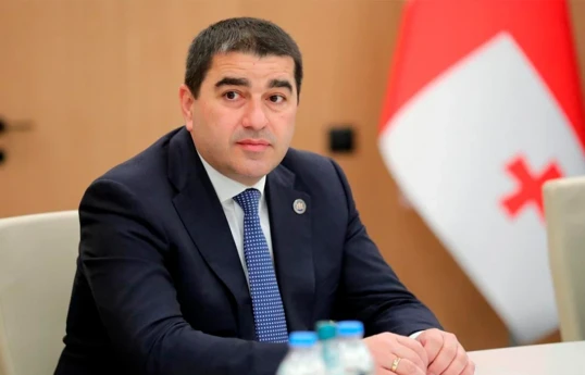 Gürcüstan parlamentinin sədri Şalva Papuaşvili