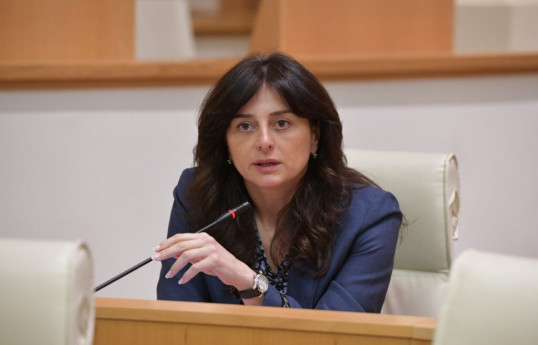 Gürcüstan parlamentinin Ətraf mühitin mühafisəzi və təbii resurslar üzrə komitəsinin sədri Maya Bitadze