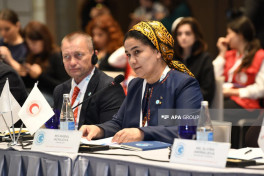 Türk Qızıl Aypara Şəbəkəsinin iclası keçirilib, Bakı Bəyannaməsi imzalanıb - FOTO 
