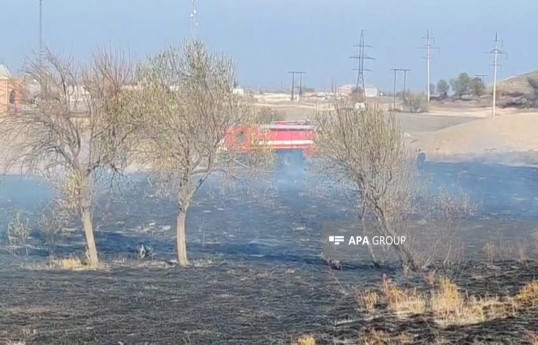 Goranboyda açıq ərazidə yanğın olub - FOTO 