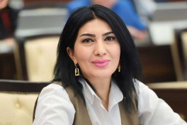 Elnarə Akimova, Milli Məclisin deputatı