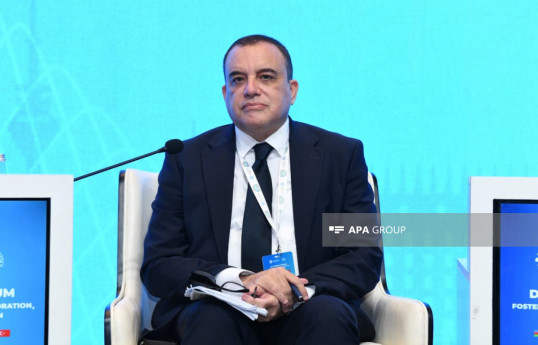 Ezzat İbrahim