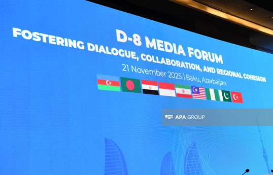 D-8 Media Forumu