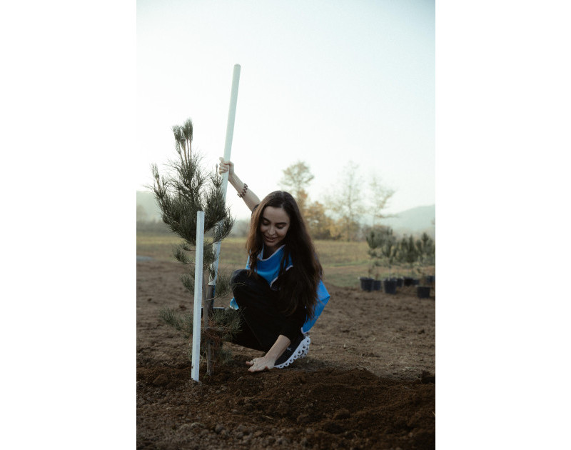 Leyla Əliyeva, Arzu Əliyeva və Alena Əliyeva Lənkəranda ekoloji aksiyalarda iştirak ediblər
