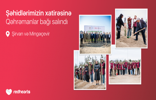 “Qəhrəmanlar bağı” layihəsi: Şəhidlərin xatirəsinə 543 ağac əkilib