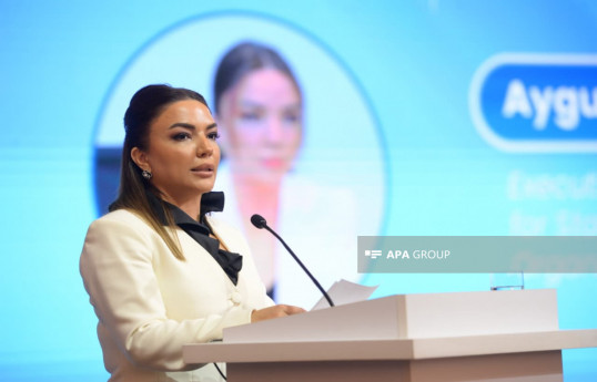 Azərbaycan Qeyri-Hökumət Təşkilatlarına (QHT) Dövlət Dəstəyi Agentliyinin icraçı direktoru Aygün Əliyeva