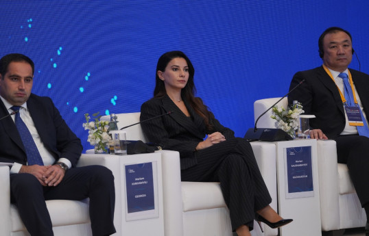 Gürcüstanın iqtisadiyyat və dayanıqlı inkişaf naziri Mariam Kvrivişvili