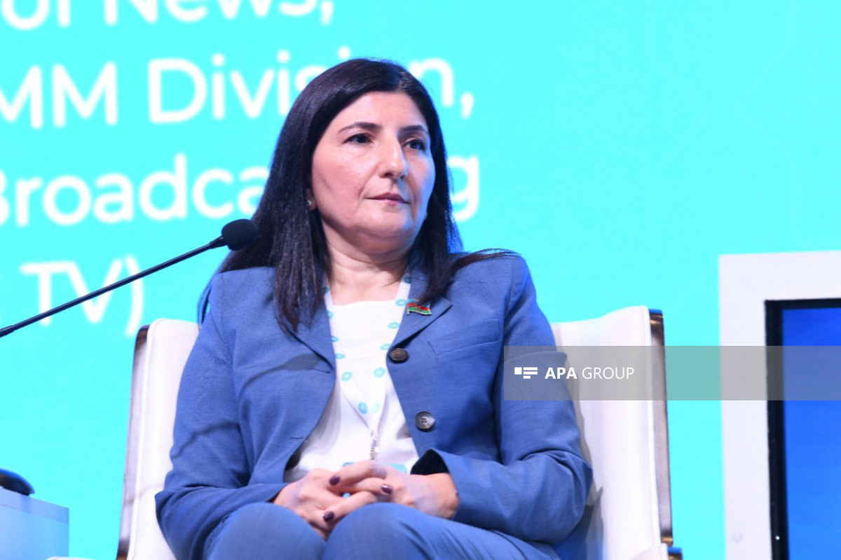 TDT-nin Media Forumu çərçivəsində ikinci panel sessiya keçirilib
