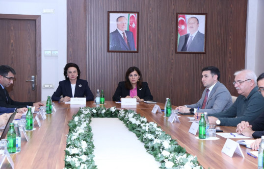 Bu il 51 yeni aşkar edilmiş abidə dövlət qeydiyyatına alınıb