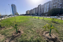 Bu gün Bakının 555 küçəsi yuyulub - YENİLƏNİB 