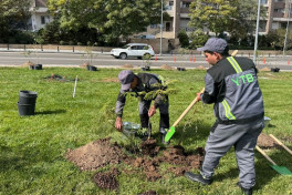 Bu gün Bakının 555 küçəsi yuyulub - YENİLƏNİB 