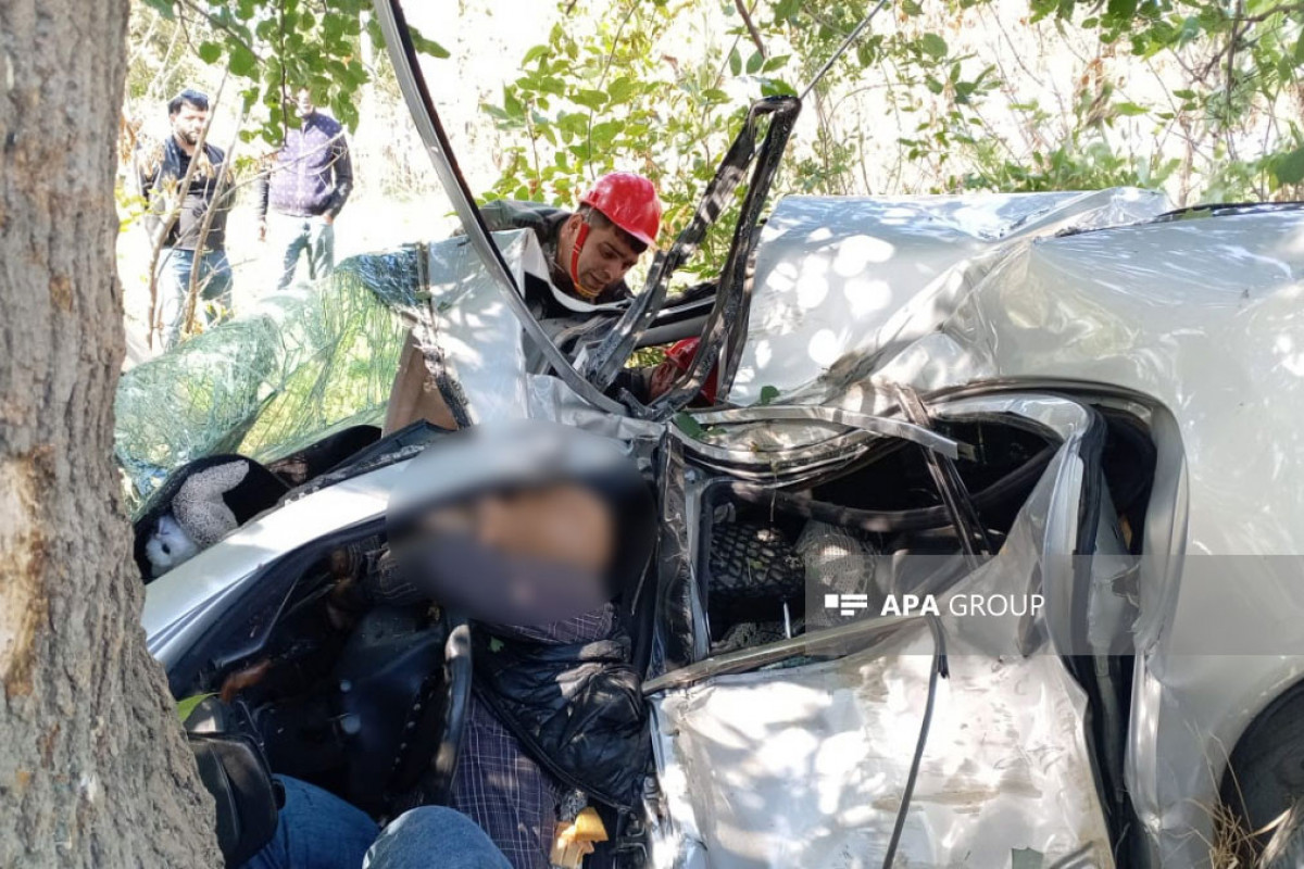 Şabranda avtomobil ağaca çırpılıb, sürücü ölüb - FOTO  - YENİLƏNİB 