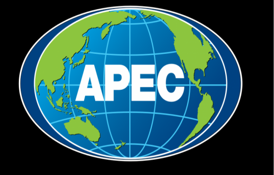 APEC sammitində Rusiya nümayəndə heyatinə kimin rəhbərlik edəcəyi məlum olub