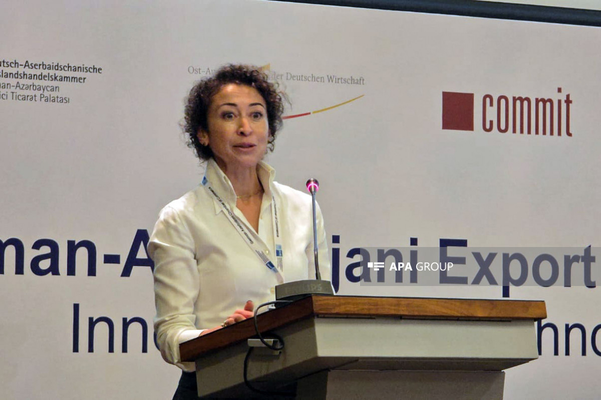 Nargis Vik