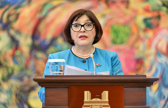 Sahibə Qafarova: Enerji sahəsi Xorvatiya ilə əməkdaşlıqda mühüm yer tutur