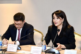 “Psixi sağlamlıq və insan hüquqları” sahəsində İşçi Qrupun ilk iclası keçirilib