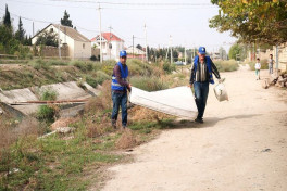 Sumqayıtda Qurd dərəsi massivində geniş iməcilik keçirilib
