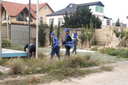 Sumqayıtda Qurd dərəsi massivində geniş iməcilik keçirilib