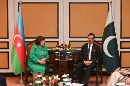 Sahibə Qafarova Pakistan Senatının sədri ilə görüşüb