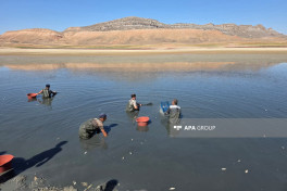 Culfada su anbarında balıqlar kütləvi tələf olub - FOTO  - YENİLƏNİB 