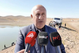 Culfada su anbarında balıqlar kütləvi tələf olub - FOTO  - YENİLƏNİB 