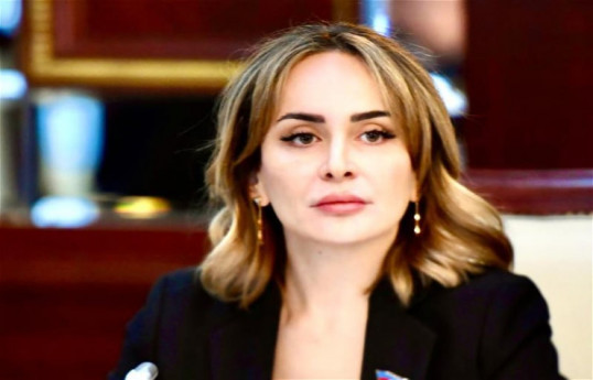 Nigar Məmmədova, Milli Məclisin deputatı