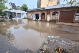 Lənkəranda sel suları həyətyanı sahələrə dolub