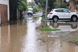 Lənkəranda sel suları həyətyanı sahələrə dolub
