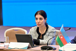 Azərbaycanda D-8 həftəsi təşkil edilir - FOTO 
