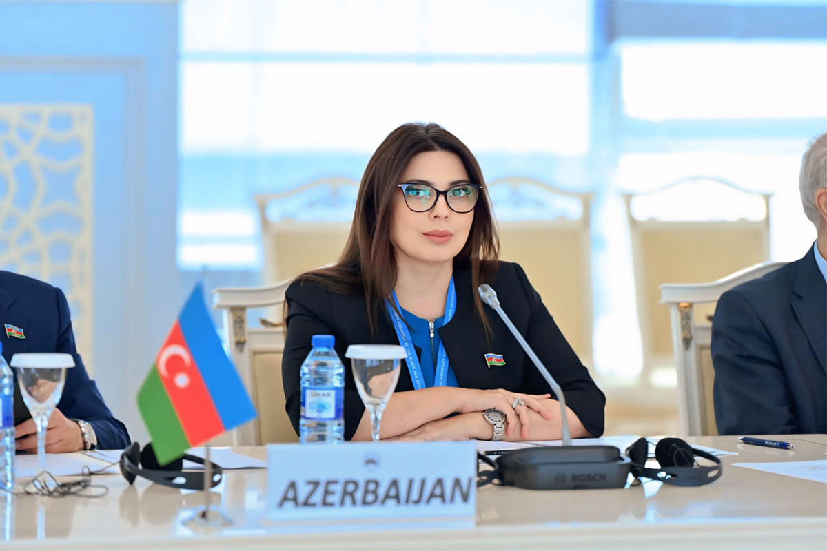 Səbinə Salmanova, Milli Məclisin Müdafiə, təhlükəsizlik və korrupsiya ilə mübarizə komitəsinin üzvü