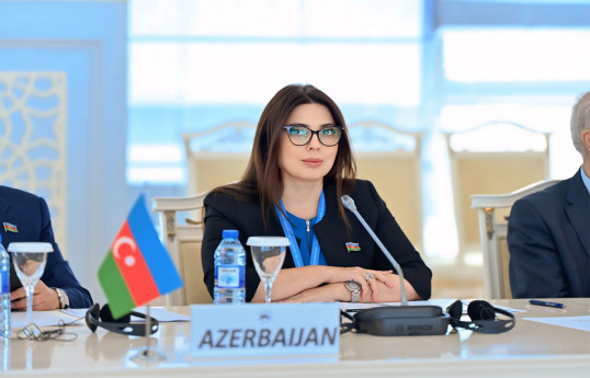 Səbinə Salmanova, Milli Məclisin Müdafiə, təhlükəsizlik və korrupsiya ilə mübarizə komitəsinin üzvü
