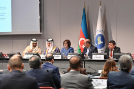 Sahibə Qafarova Asiya Parlament Assambleyasının Koordinasiya görüşünə sədrlik edib - FOTO 