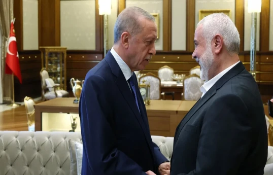 Ərdoğan, Haniyə