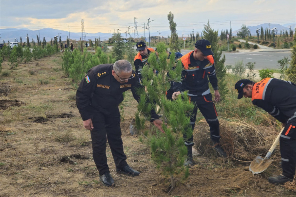 FHN Ağdamda ağacəkmə aksiyası keçirib