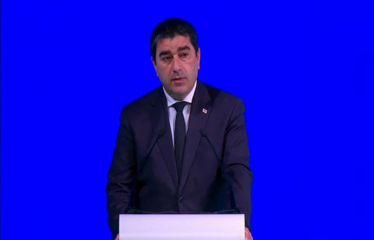Şalva Papuaşvili