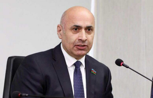 Azər Badamov, Milli Məclisin deputatı