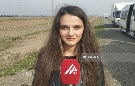 Arzu Alızadə