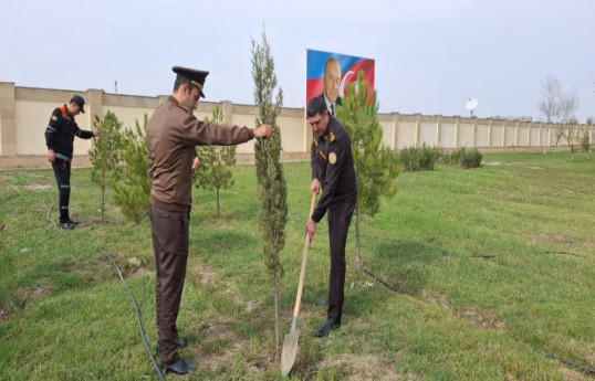 FHN-in Aran Regional Mərkəzi ağacəkmə aksiyası keçirib