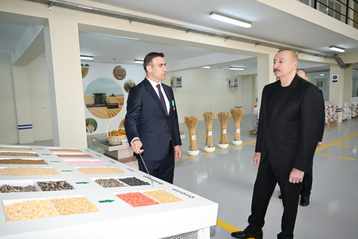 Prezident İlham Əliyev toxum istehsalı müəssisəsinin fəaliyyəti ilə tanış olub