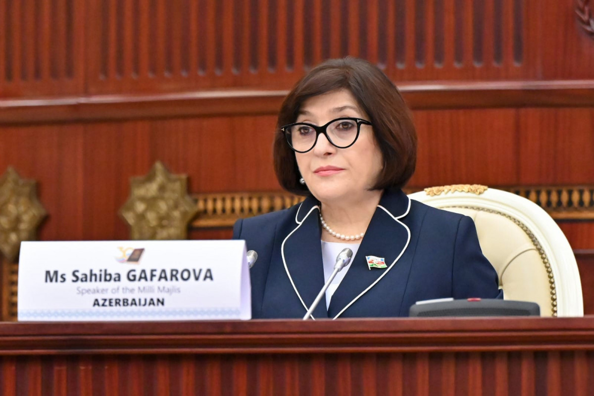 Sahibə Qafarova, Milli Məclisin sədri