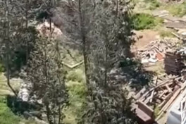 Sumqayıtda ağac kəsilməsi faktı üzə araşdırma aparılır